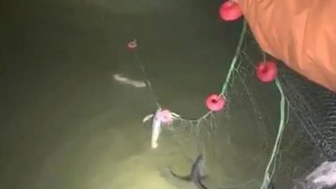 Van'da kaçak avlanan 200 kilo canlı balık yeniden suya bırakıldı