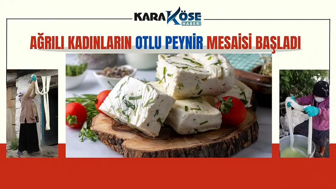 Ağrı'da Otlu Peynir Yapımı İçin Hazırlıklar Başladı