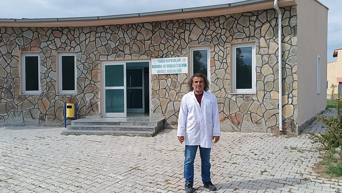 Yaban Hayatında Tehlike: Binlerce Tür Yok Olma Tehlikesi Altında