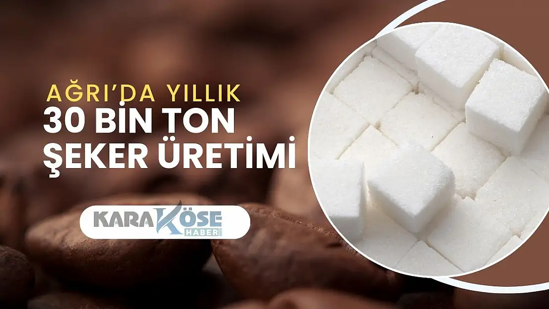 Ağrı'da Yıllık 30 Bin Ton Şeker Üretimi