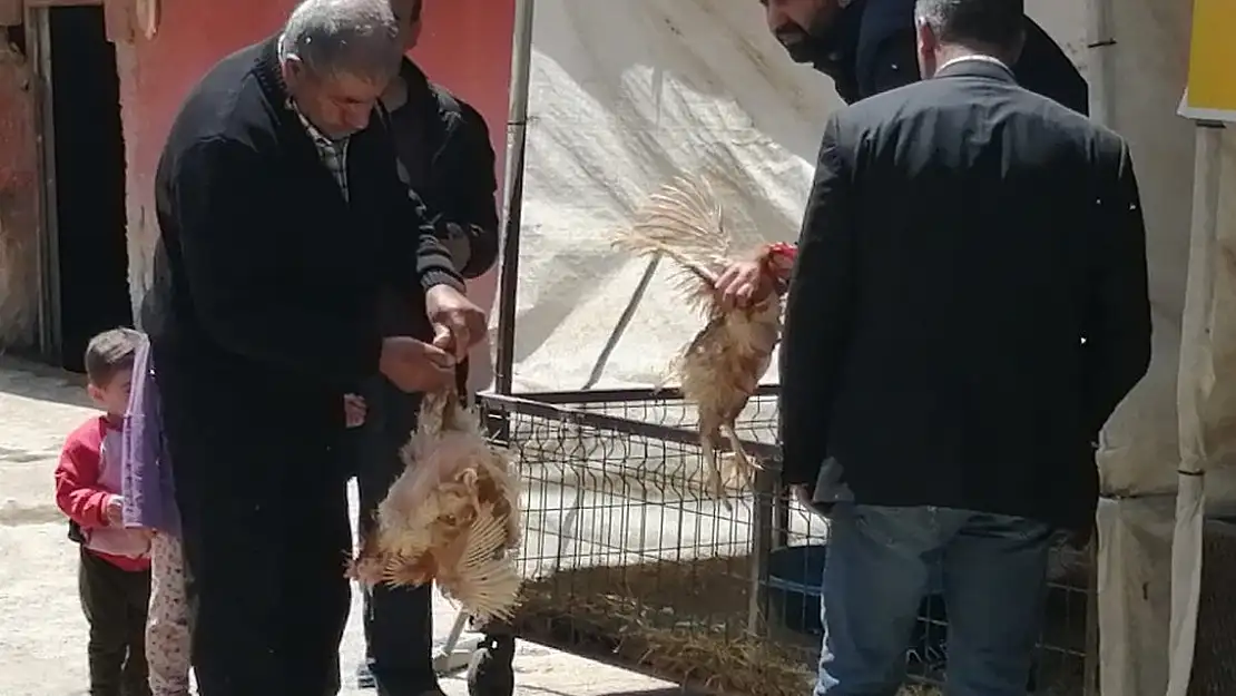 Ağrı'da Canlı Tavuk Etine Yoğun İlgi