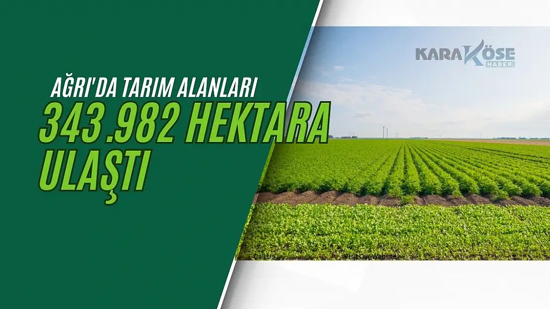 Ağrı'da Tarım Alanları 343 Bin 982 Hektara Ulaştı
