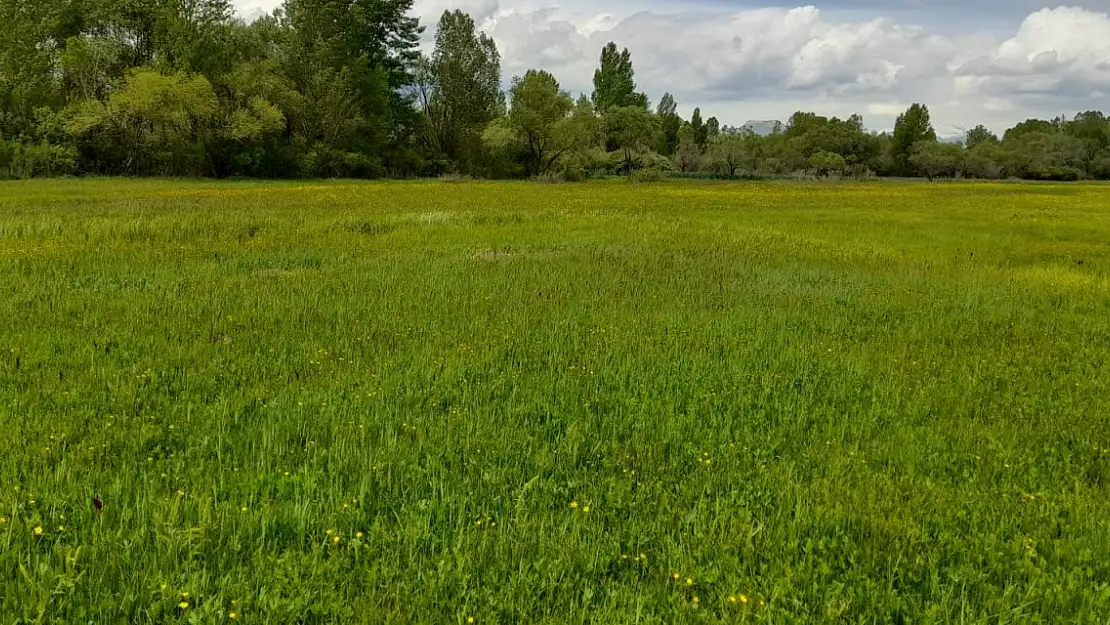 Yağmurun Ardından Doğa Renk Cümbüşüne Döndü