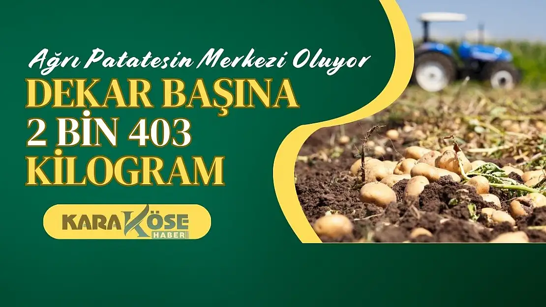 Ağrı Patatesin Merkezi Oluyor: Dekar Başına 2 bin 403 Kilogram