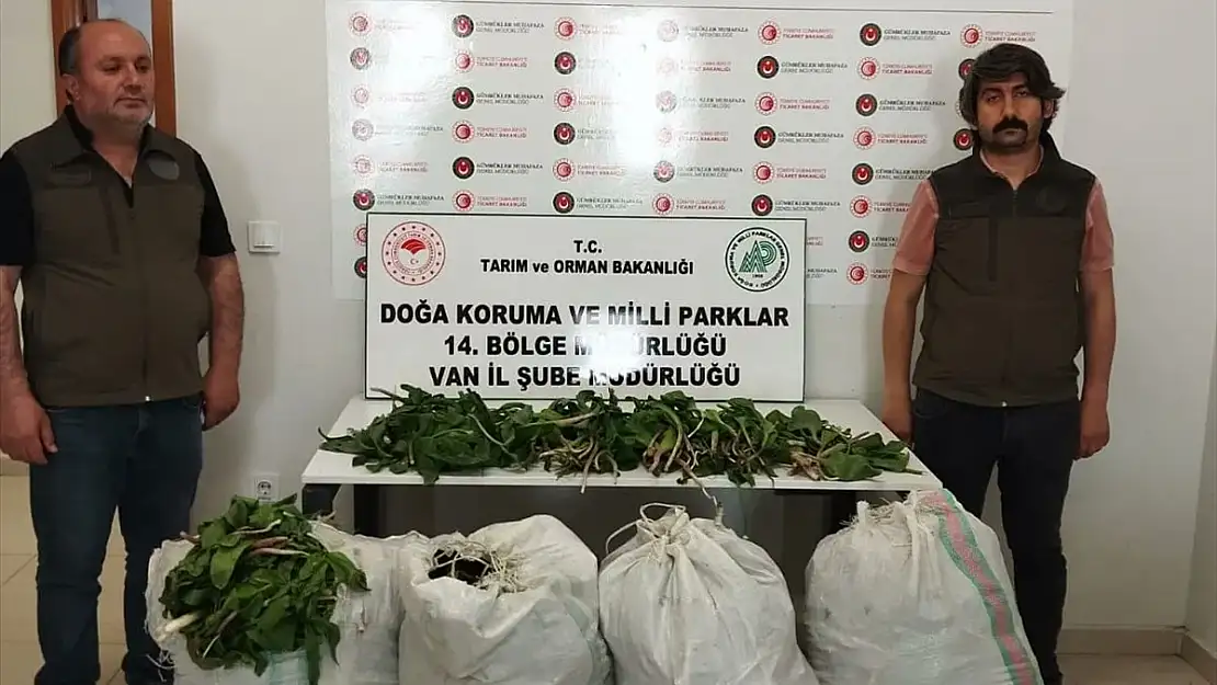 Van'da dev soğan bitkileriyle yakalanan İran uyrukluya şahsa ceza yağdı