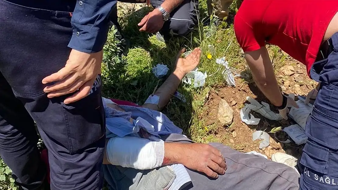 Hayvanlarını otlatırken ayı saldırdı