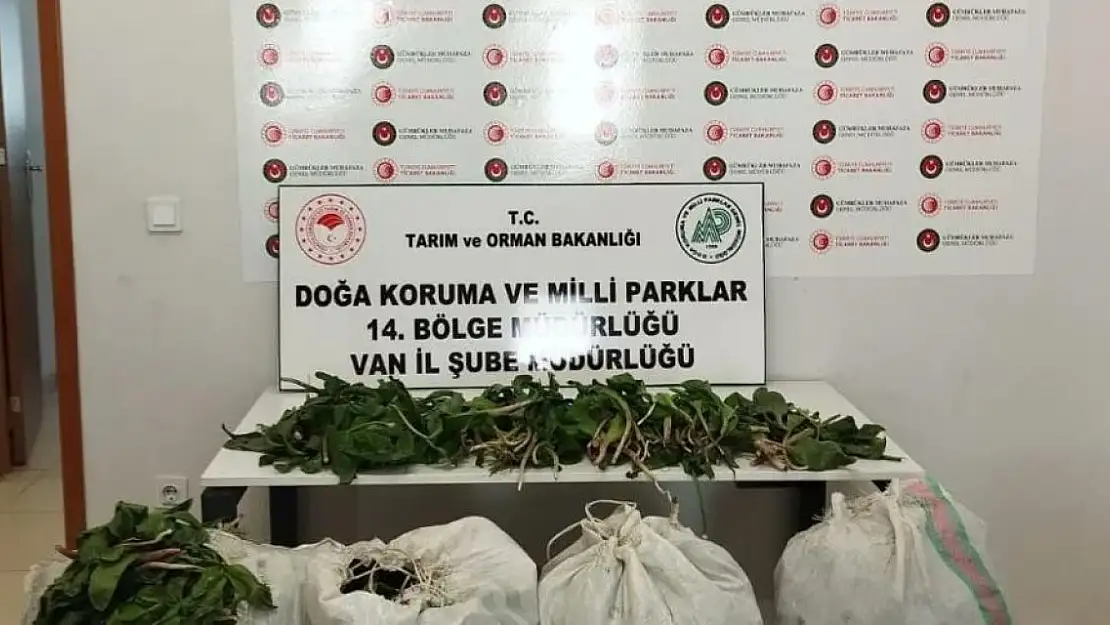 İran uyruklu 1 kişiye 387 bin 141 lira ceza