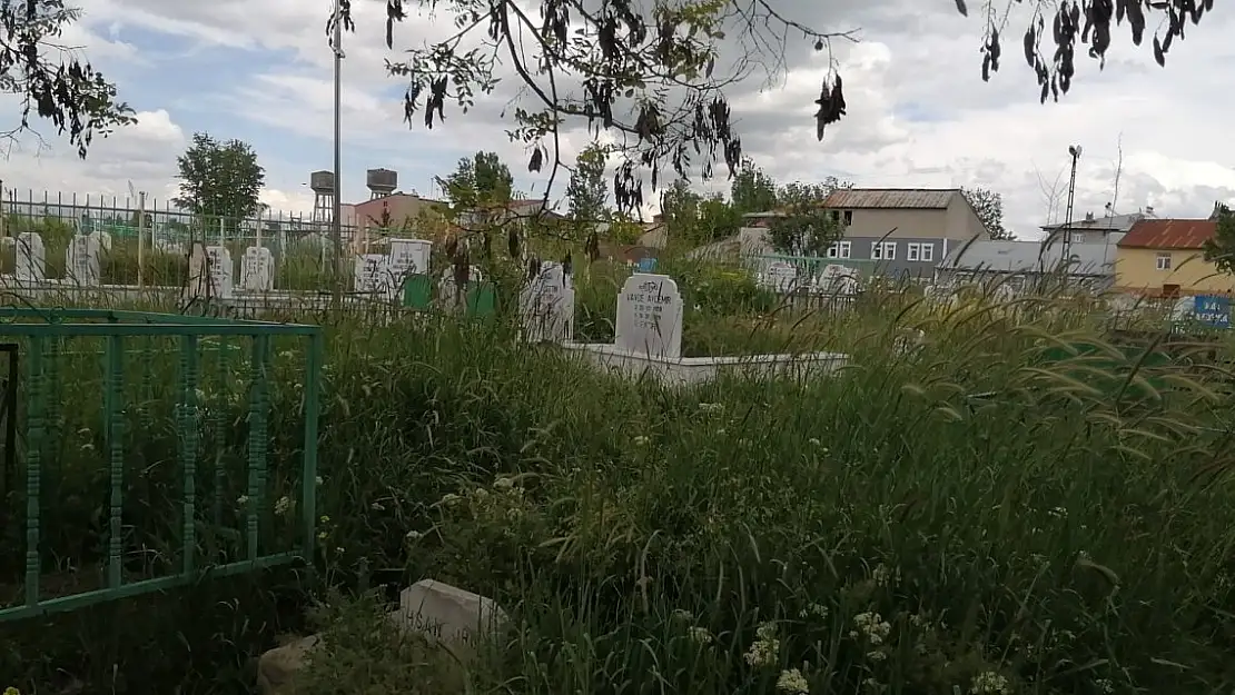 Ağrı'da Mezarlıklar Otların Arasında Kayboldu