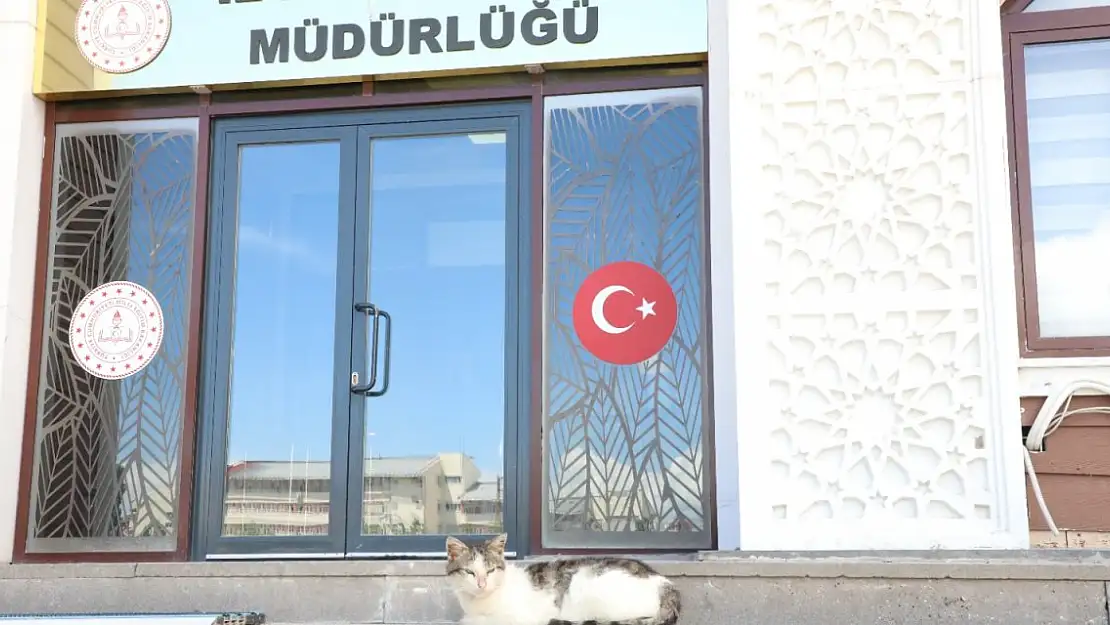 Ağrı Milli Eğitim Müdürlüğünün Yeni Maskotu: 'Eğitimci' İsimli Kedi