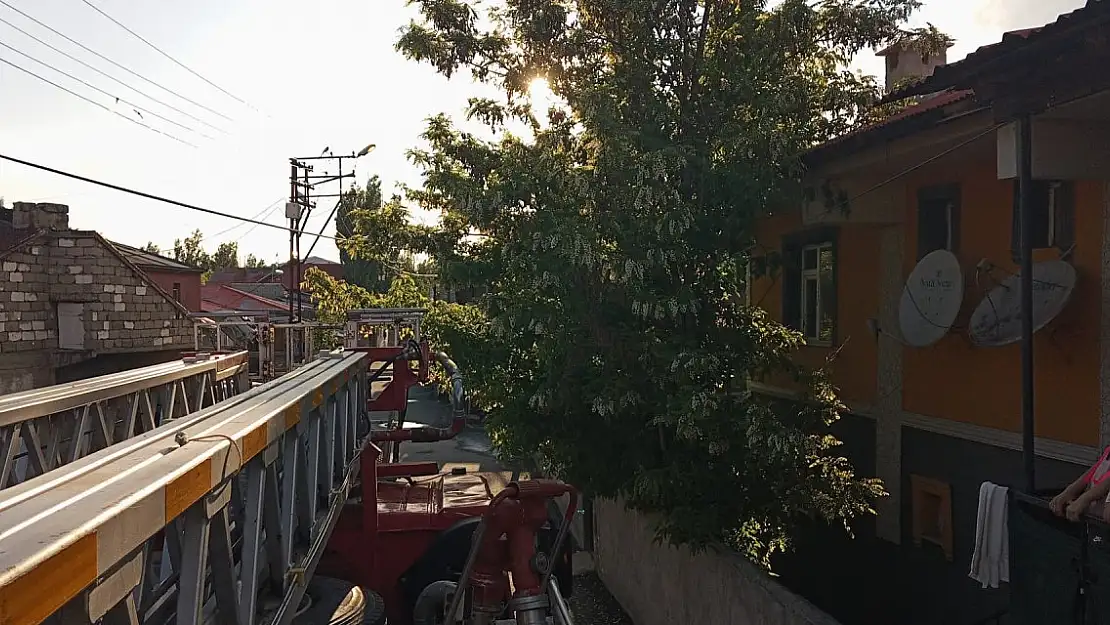 Ağrı'da ağacın tepesinden mahur kalan kediyi kurtarma operasyonu