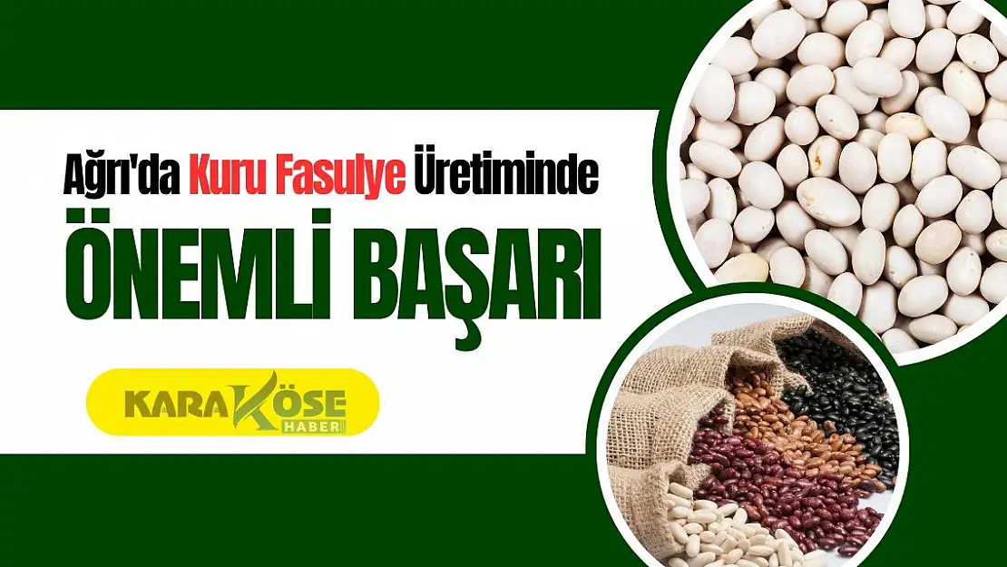 Ağrı'da Kuru Fasulye Üretiminde Önemli Başarı