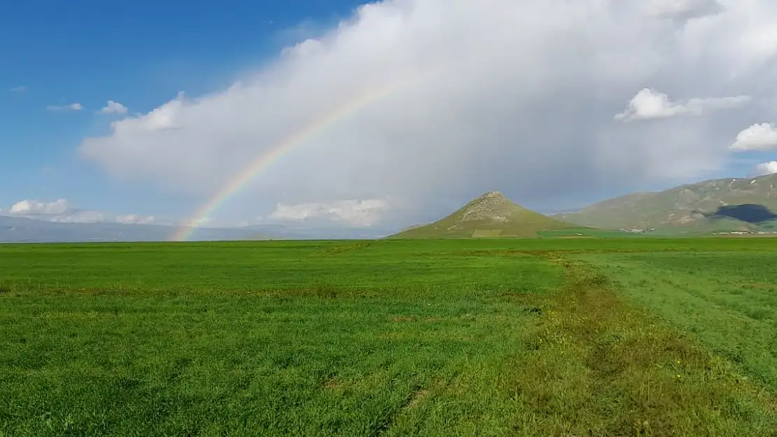 Ağrı'da Sağanak Yağmurun Ardından Büyüleyici Manzara