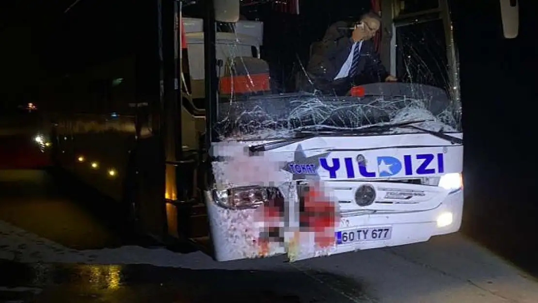 Yola çıkan ata otobüs çarptı