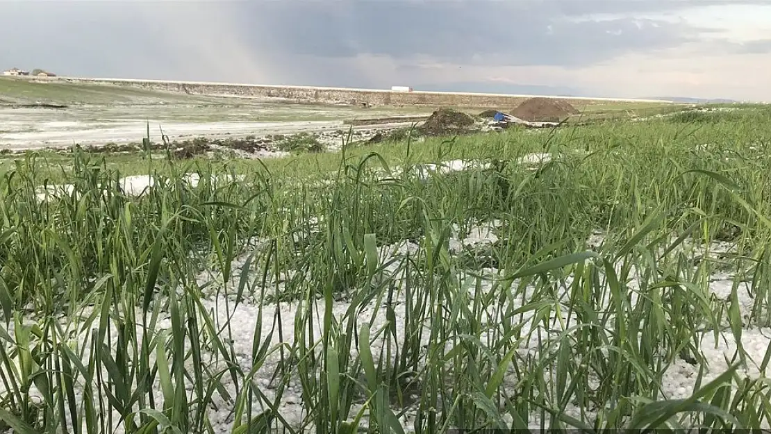 Kars'a yağan dolu tarım arazilerine zarara uğrattı