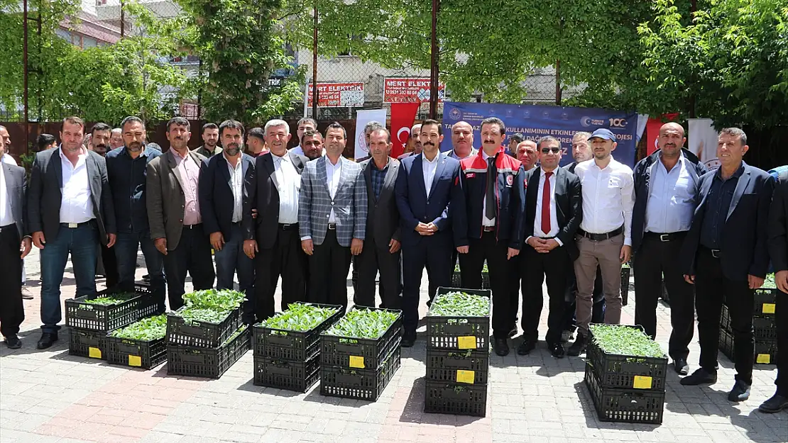 Bitlis'te çiftçiye 21 bin sebze fidesi dağıtıldı