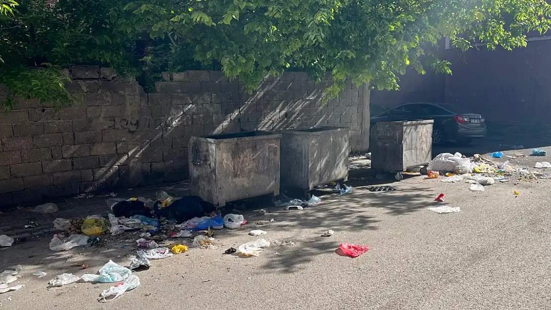 Ağrı'da konteynerler boş, yollar çöp içerisinde