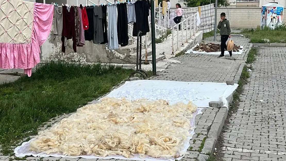 Ağrı'da Bahar Temizliği: Yün Yorgan ve Döşekler Yenileniyor