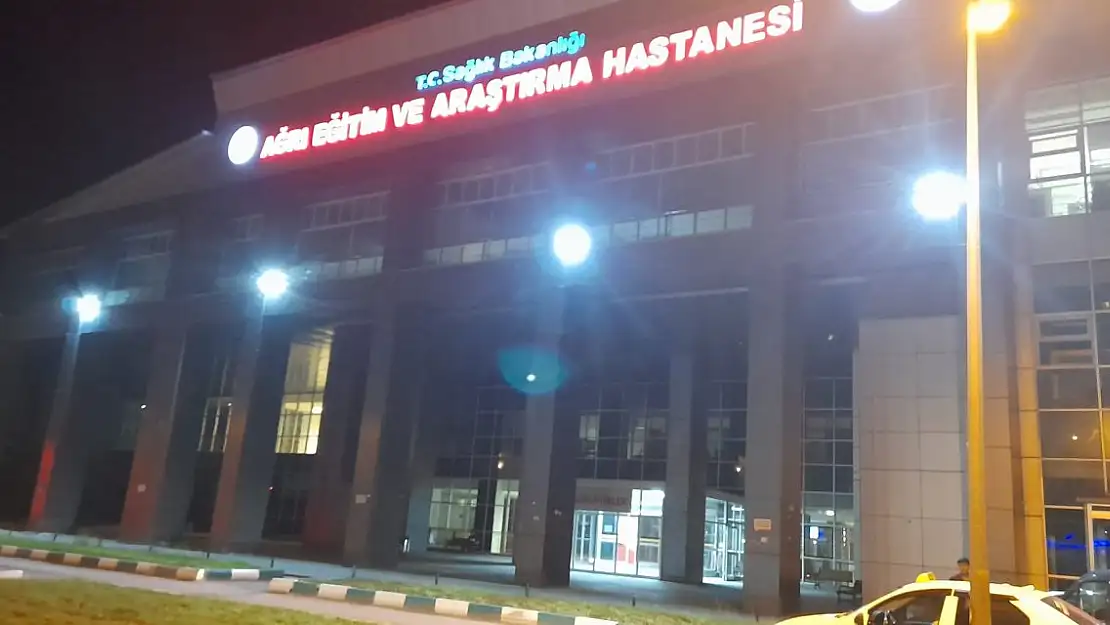Ağrı'da yıldırım düşmesi sonucu 1 kişi ağır yaralandı