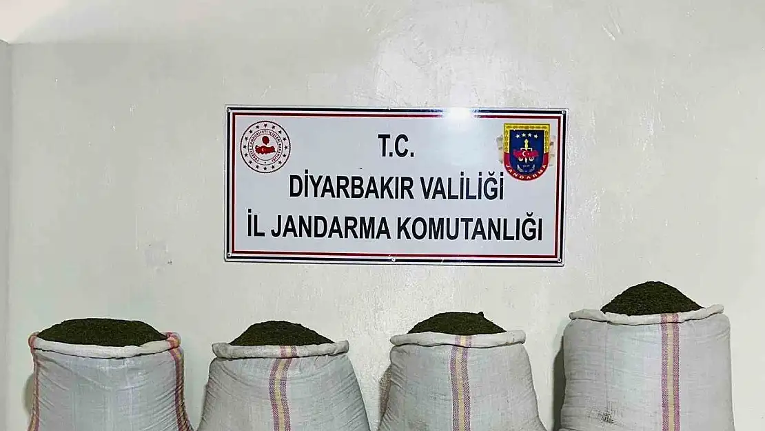 Diyarbakır'da binlerce kök kenevir ve kilolarca esrar ele geçirildi