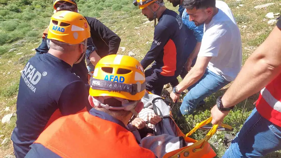 Van'da kayalıklardan düşen 2 kişi kurtarıldı