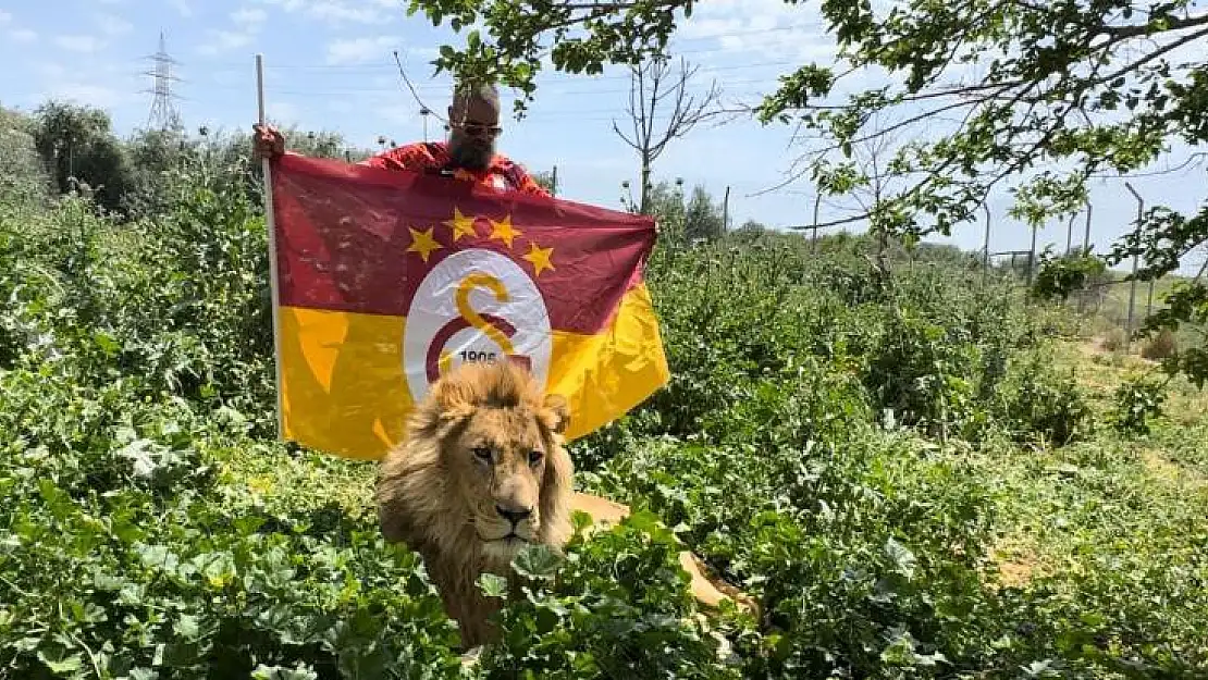 Diyarbakırlı taraftar, Galatasaray'ın 24. şampiyonluğunu aslanlarıyla kutladı
