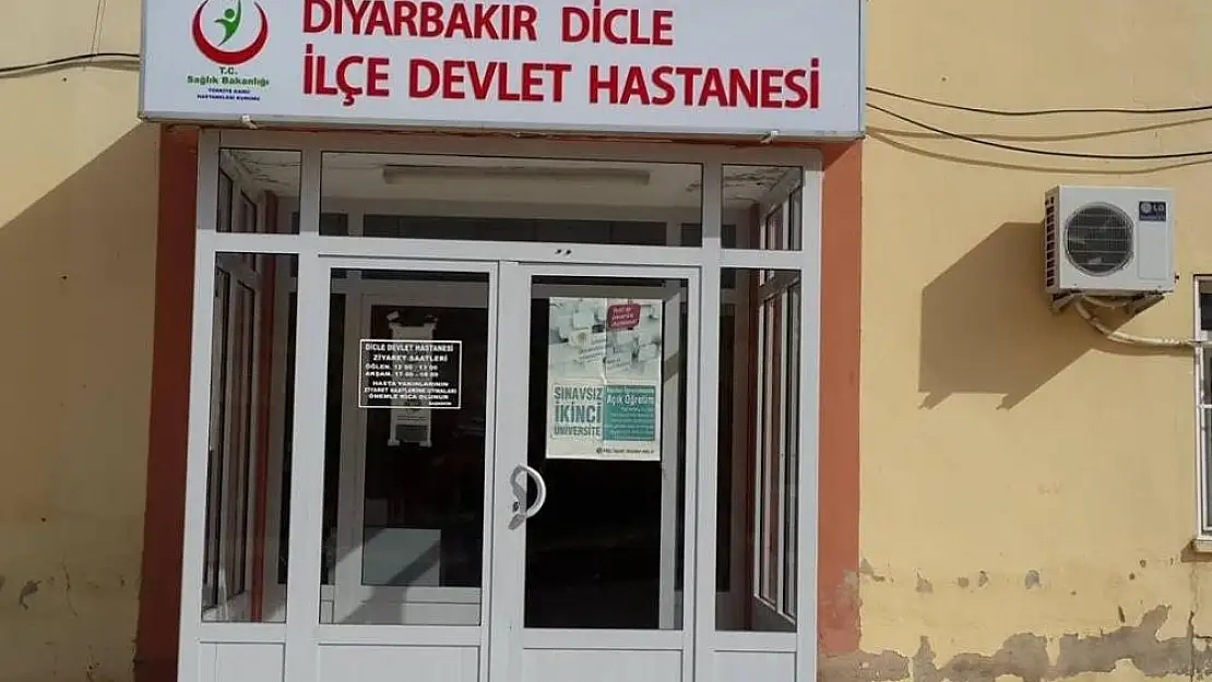 Diyarbakır'da sokak köpeği kadına saldırdı