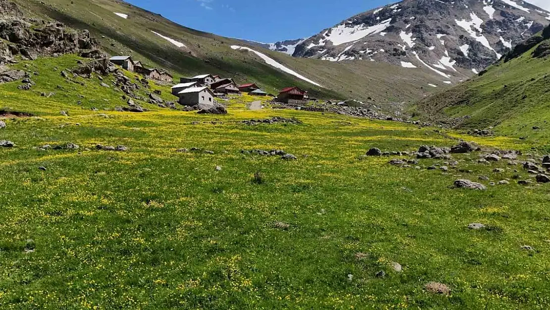 Dulağa Yaylası'nın Alpler'i aratmayan güzelliği