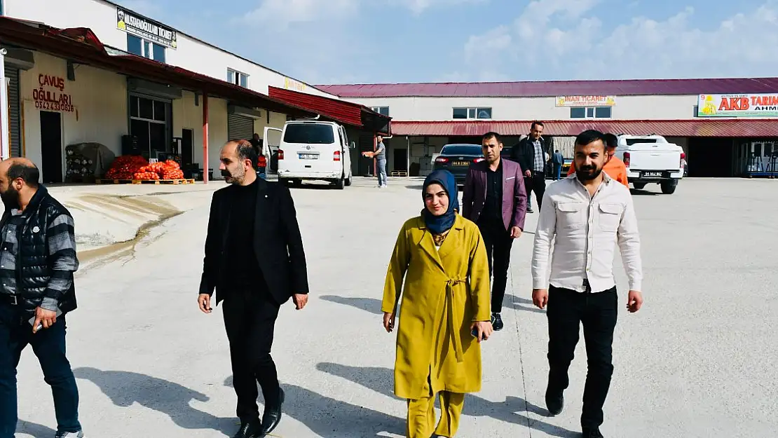 Doğubayazıt'ta sorunları çözme arayışı sürüyor