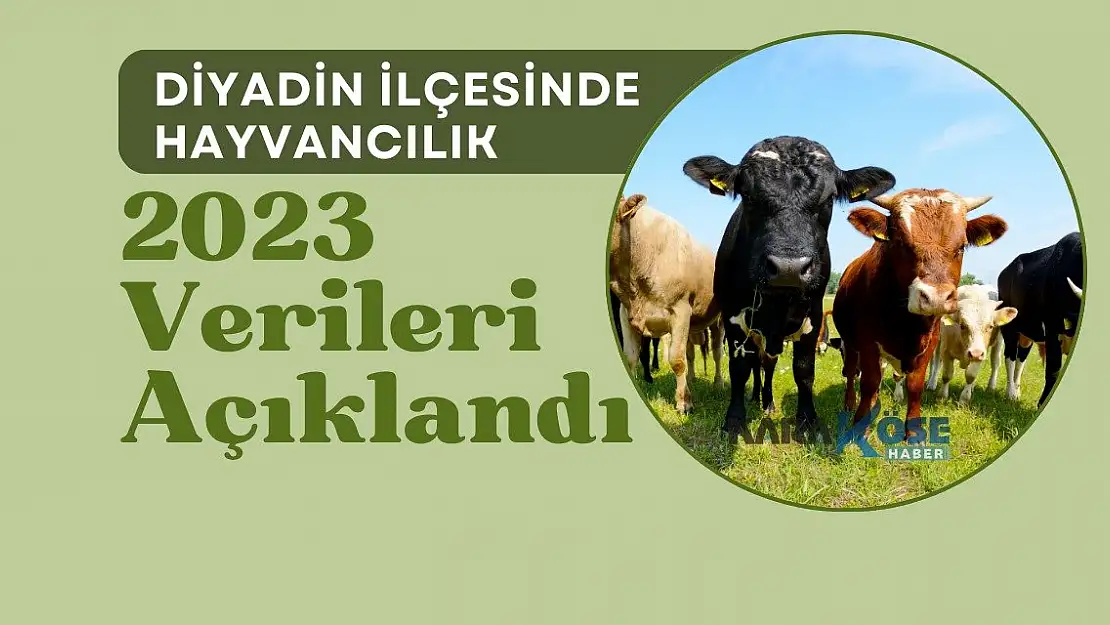Diyadin hayvancılıkta iddialı