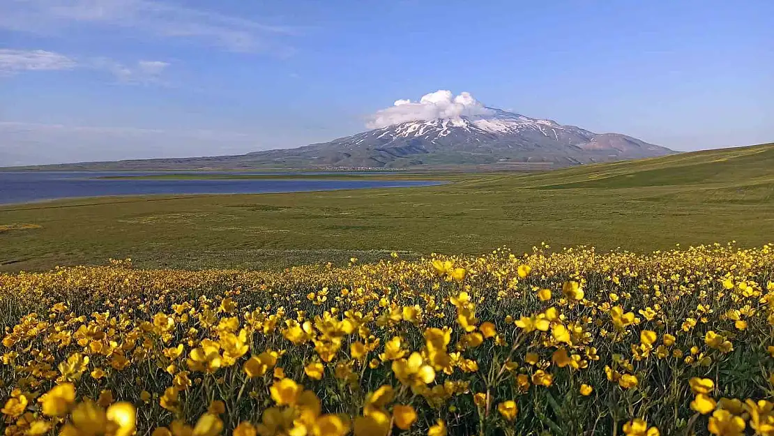 Sütey Yaylası ve Süphan Dağı'ndan kartpostallık kareler
