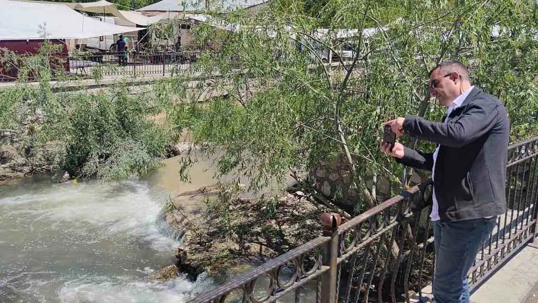 İnci kefalleri Akköprü deresinde
