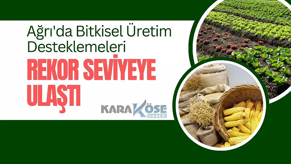 Ağrı'da Bitkisel Üretim Desteklemeleri Rekor Seviyeye Ulaştı