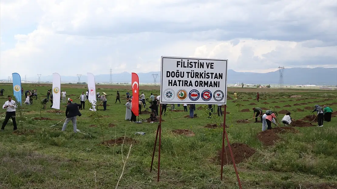 Erzurum'da Filistin ve Doğu Türkistan Hatıra Ormanı oluşturuldu