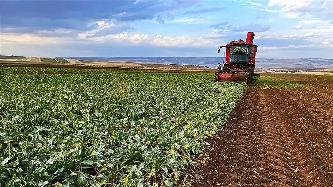 Çiftçilerin hesaplarına destekleme ödemeleri yatırılmaya başladı