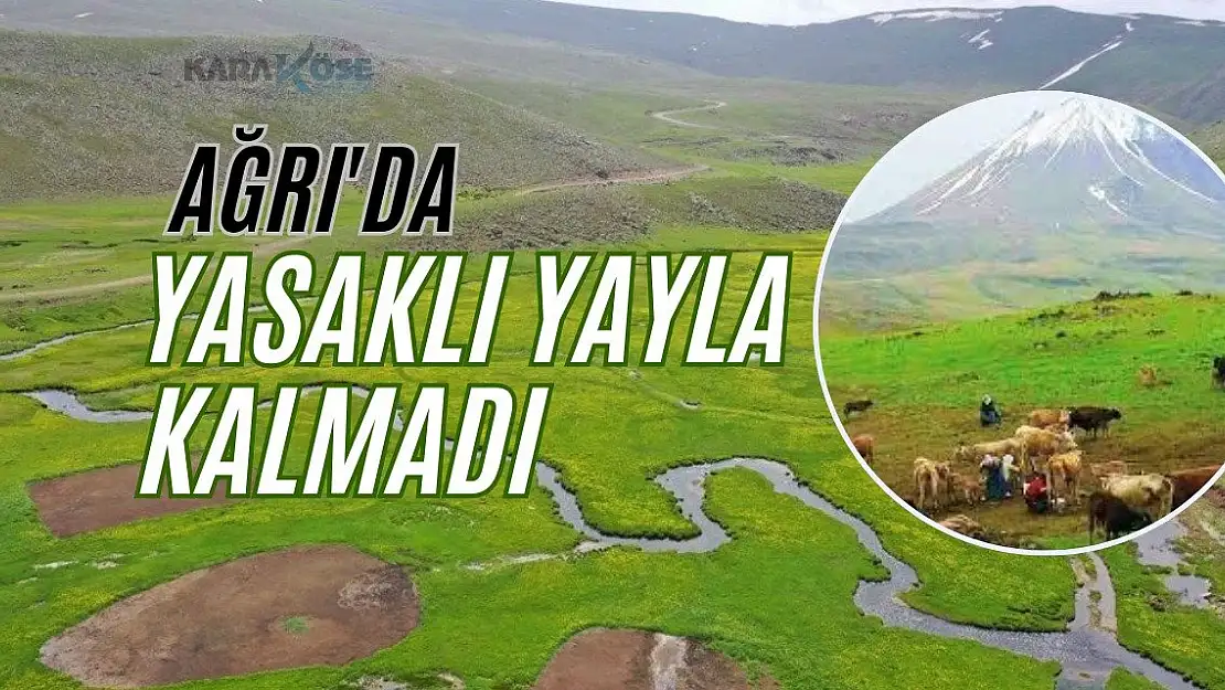 Ağrı'da Yasaklı Yayla Kalmadı