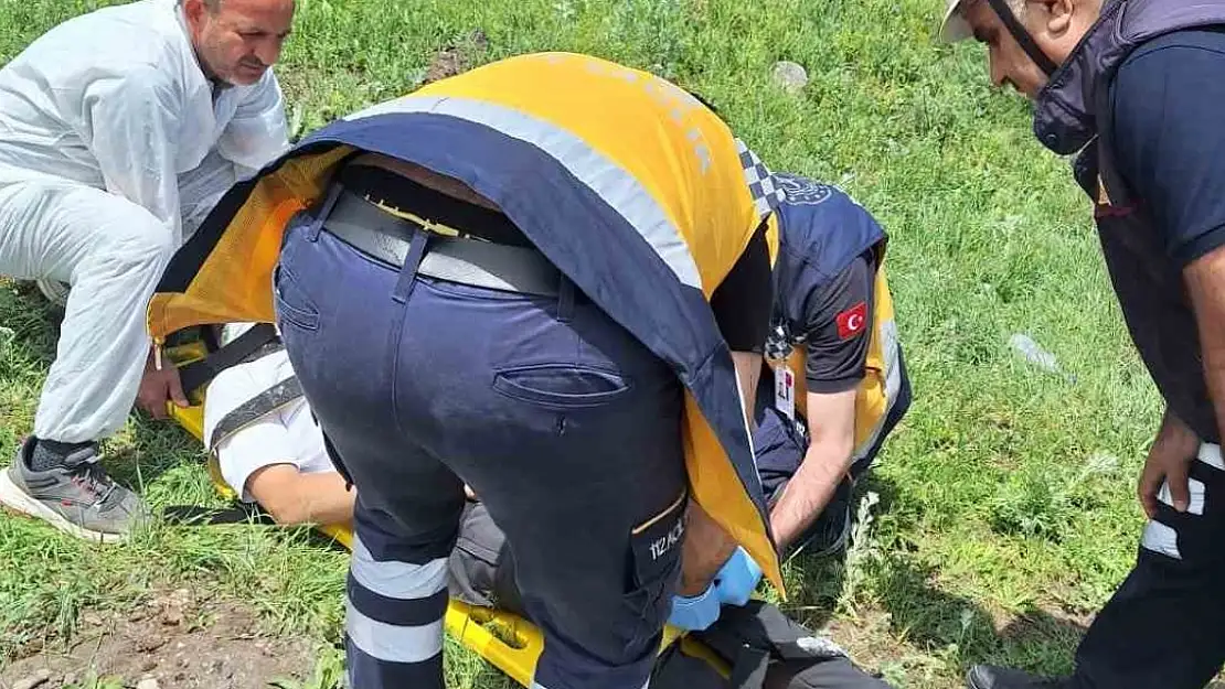 Kars'ta trafik kazası