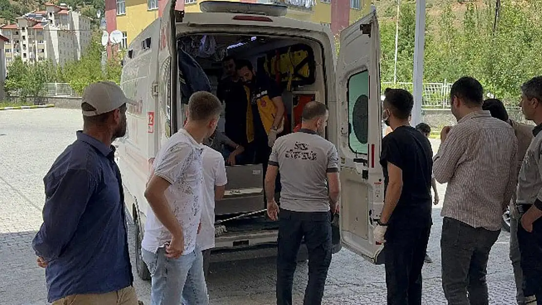 Bitlis'te tarım aracının devrilmesi sonucu 8 çocuk yaralandı