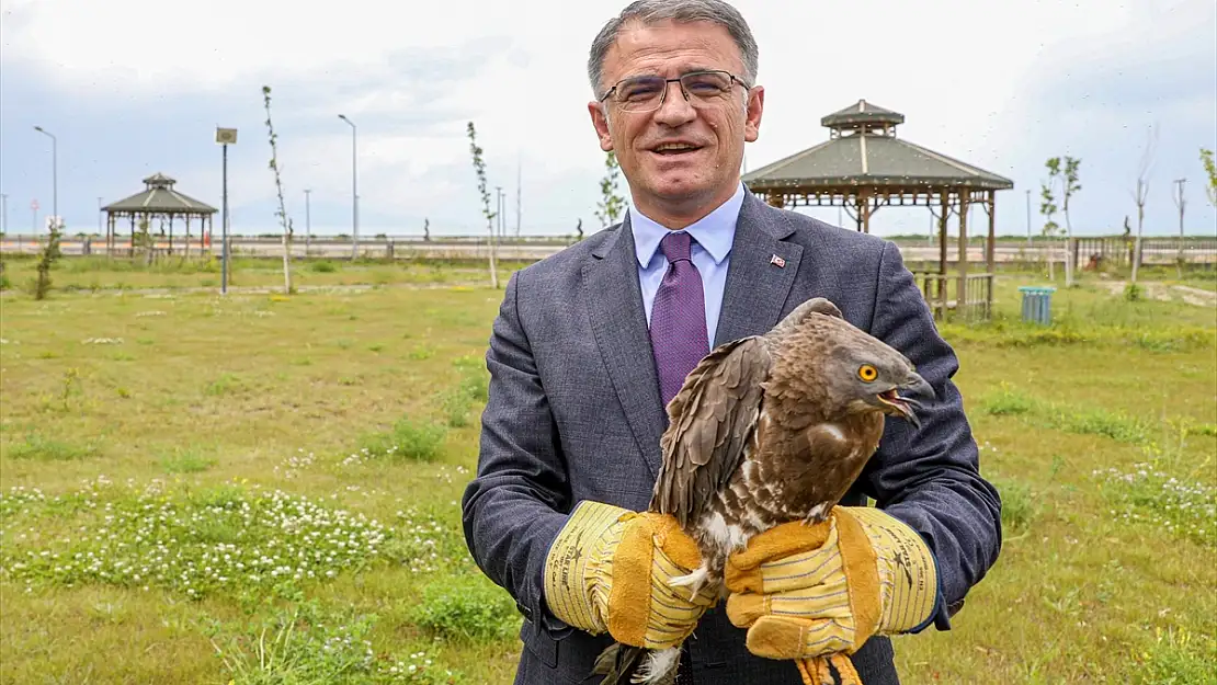 Van'da tedavileri tamamlanan yaban kuşları özgürlüklerine kavuştu
