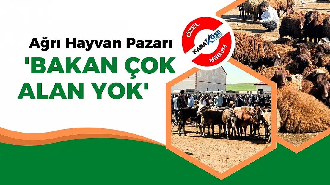 Kurban Bayramı Öncesi Ağrı Hayvan Pazarında Hareketlilik