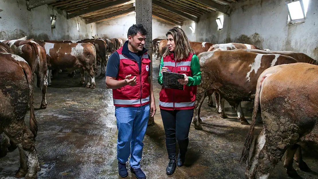 Kurbanlıklar Van'dan diğer illere sevk ediliyor