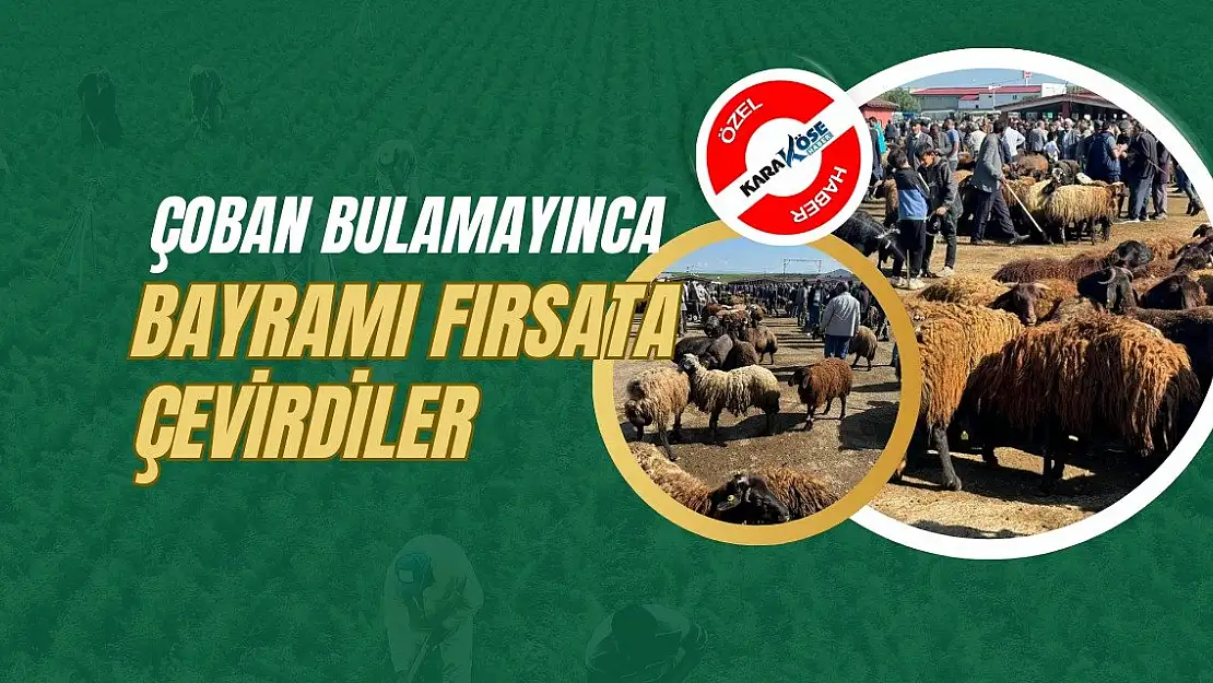 Çoban bulamayınca bayramı fırsata çevirdiler