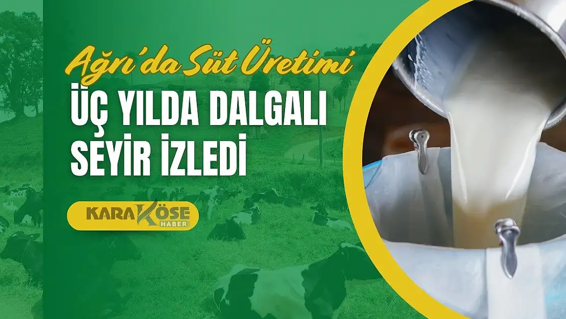Ağrı'da Süt Üretimi Üç Yılda Dalgalı Seyir İzledi
