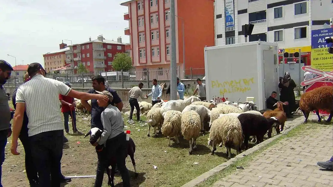 Kars'ta Arefe günü hayvan pazarında yoğunluk