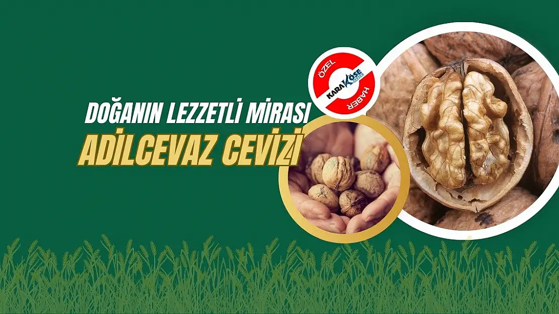 Doğanın Lezzetli Mirası: Adilcevaz Cevizi