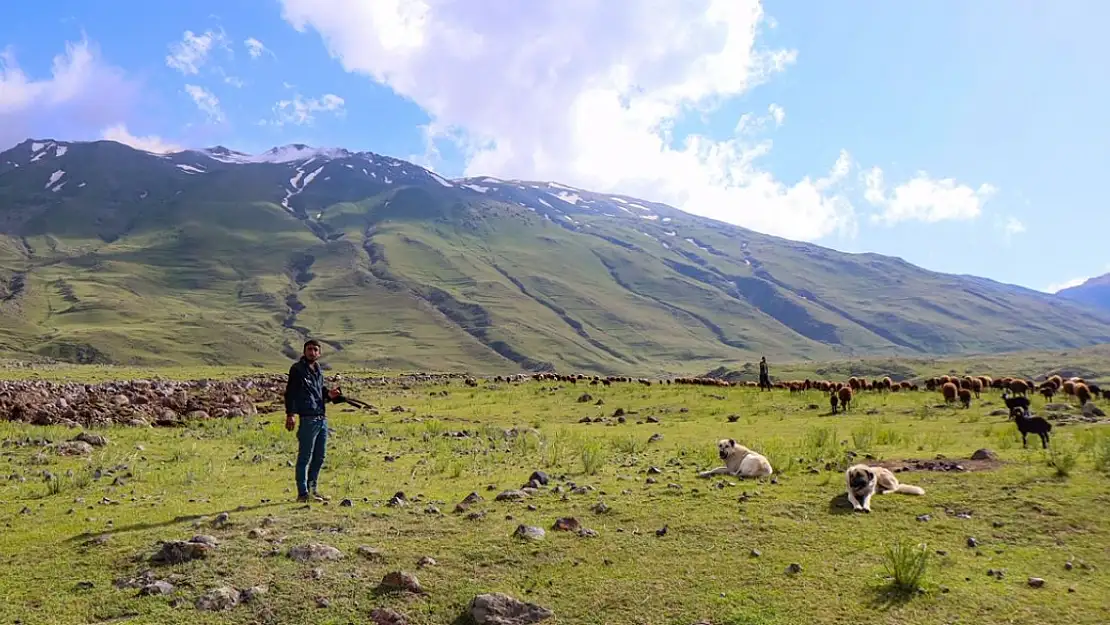 Ağrı Dağı hem bedava hem kaliteli