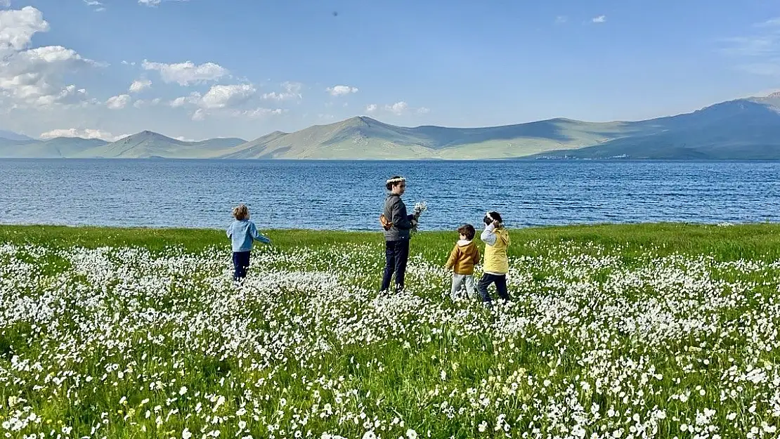 Ağrı Balık Gölü ve Papatyalar insanın ruhunu dinlendiriyor