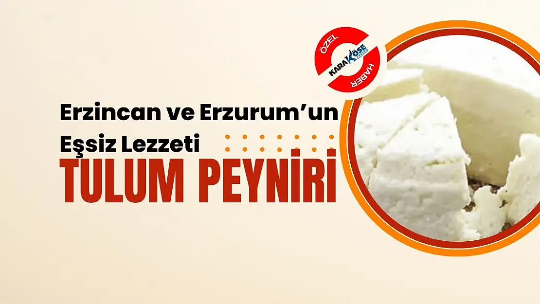 Erzincan ve Erzurum'un Eşsiz Lezzeti: Tulum Peyniri