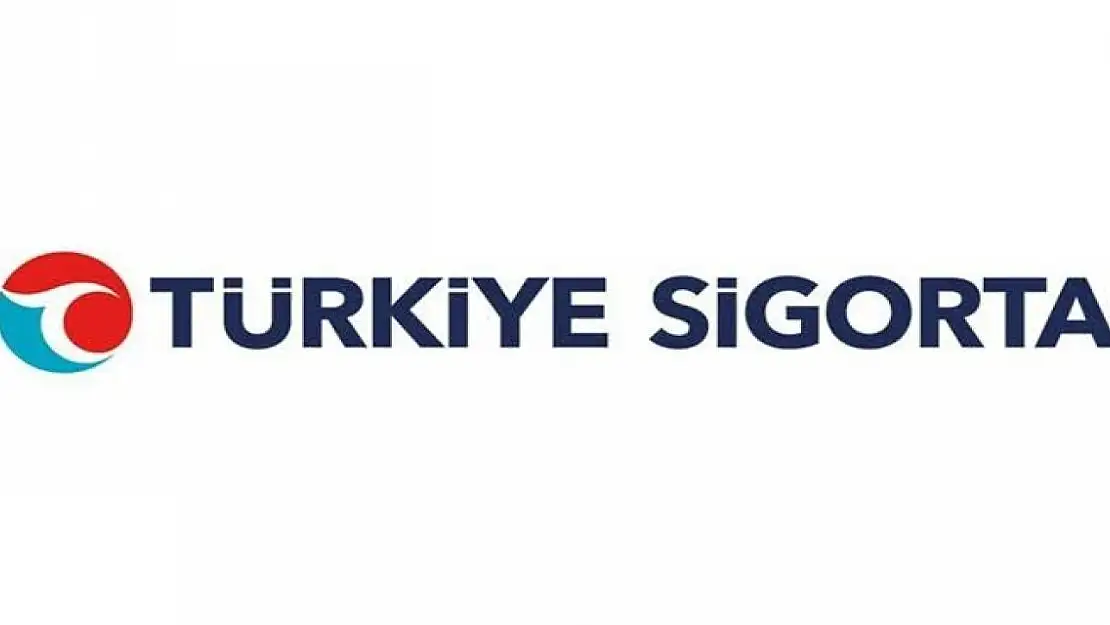 Türkiye Sigorta'nın aktif büyüklüğü 1 yılda yüzde 137 arttı