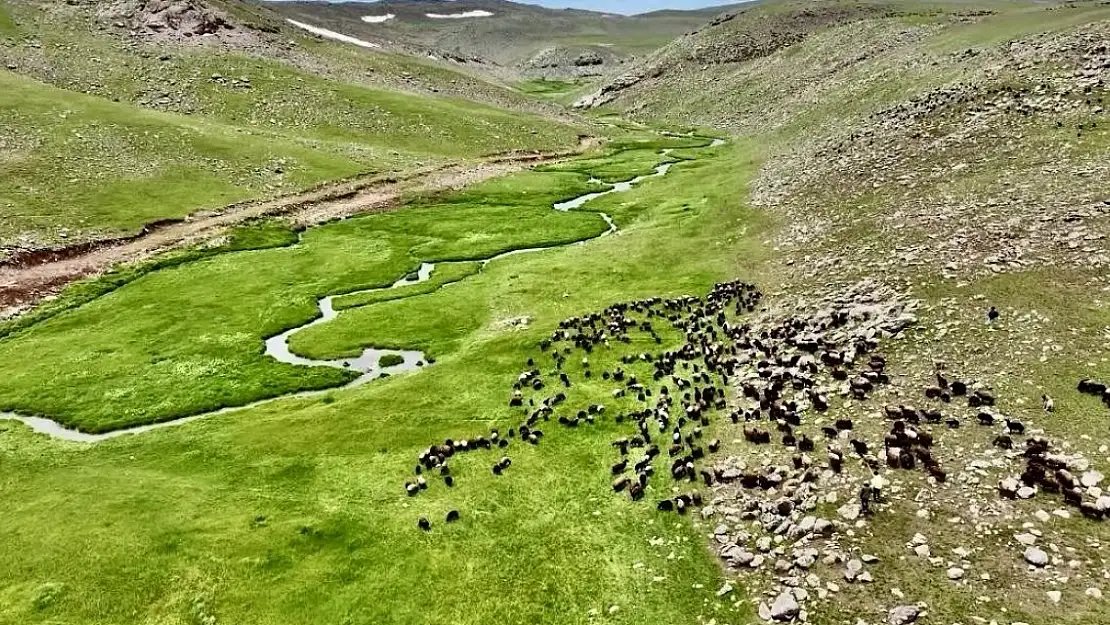 Ağrı Sinek Yaylası doğasıyla büyülüyor