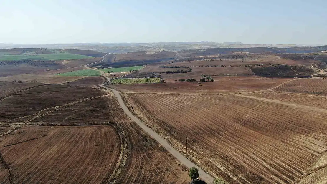 Diyarbakır'da yangında zarar gören alanlar görüntülendi